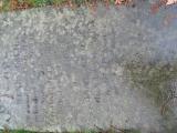 image of grave number 757609